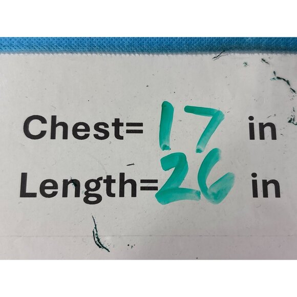 Boston Massachusetts Whale Graphic Tee XS Crewneck Long Sleeve Basic Essential - Picture 5 of 6